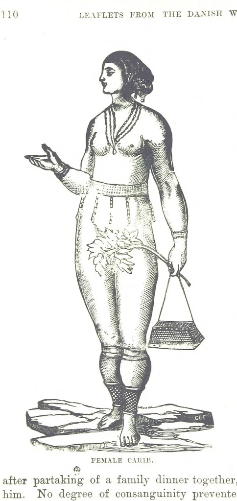 An illustration from Leaflets from the Danish West Indies: descriptive of the social, political and commercial condition of these Islands ... With a portrait of the author and a biographical sketch, ... by P. Linet, 1888, leaf 134