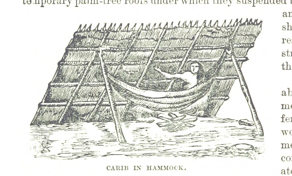 An illustration from Leaflets from the Danish West Indies: descriptive of the social, political and commercial condition of these Islands ... With a portrait of the author and a biographical sketch, ... by P. Linet, 1888, leaf 136
