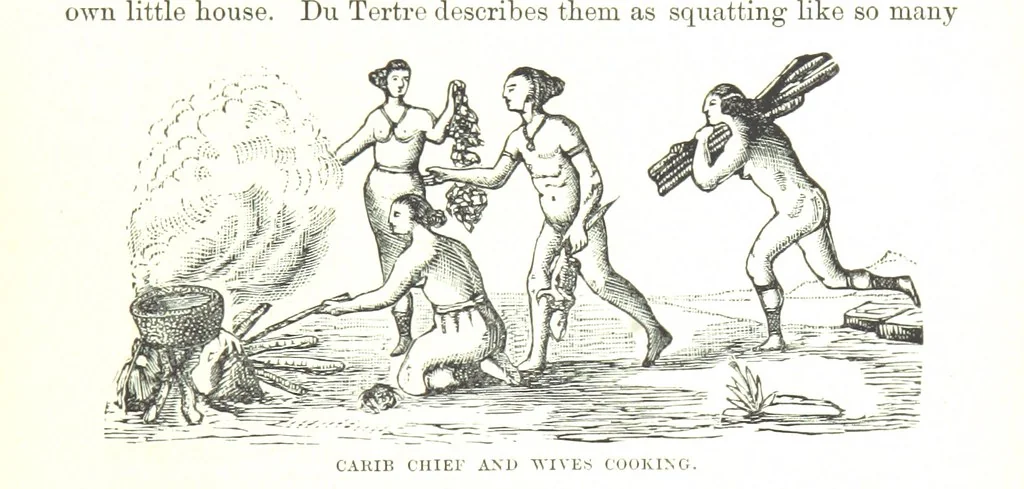An illustration from Leaflets from the Danish West Indies: descriptive of the social, political and commercial condition of these Islands ... With a portrait of the author and a biographical sketch, ... by P. Linet, 1888, leaf 137