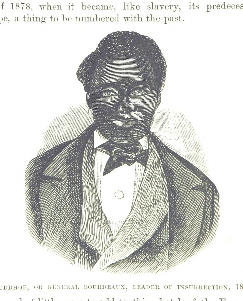 An illustration from Leaflets from the Danish West Indies: descriptive of the social, political and commercial condition of these Islands ... With a portrait of the author and a biographical sketch, ... by P. Linet, 1888, leaf 168