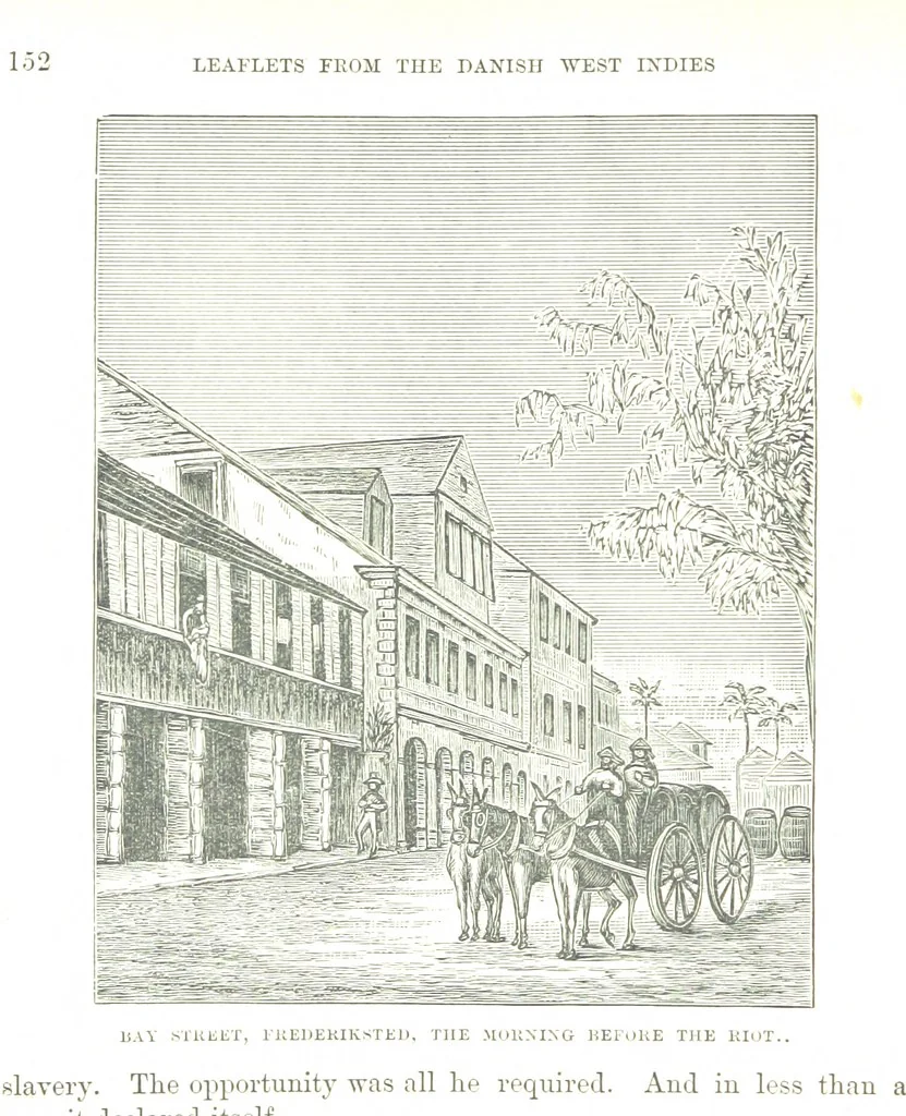 An illustration from Leaflets from the Danish West Indies: descriptive of the social, political and commercial condition of these Islands ... With a portrait of the author and a biographical sketch, ... by P. Linet, 1888, leaf 176