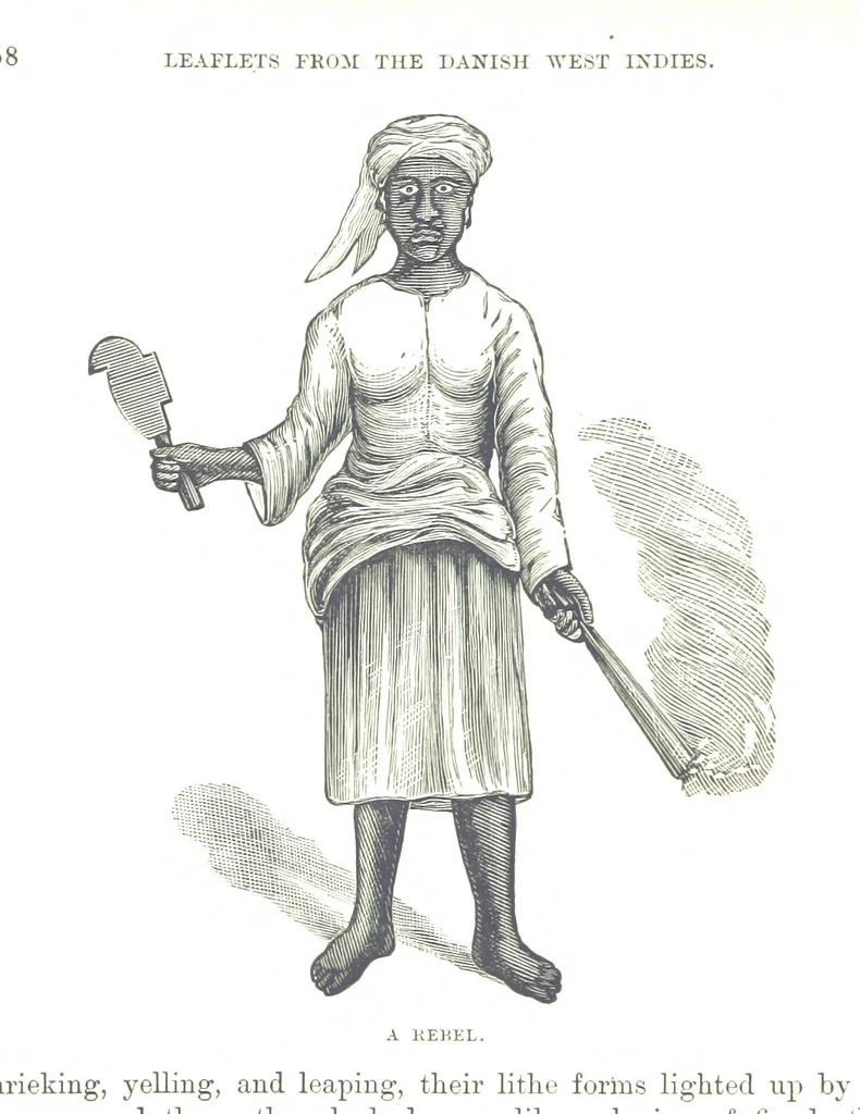 An illustration from Leaflets from the Danish West Indies: descriptive of the social, political and commercial condition of these Islands ... With a portrait of the author and a biographical sketch, ... by P. Linet, 1888, leaf 182