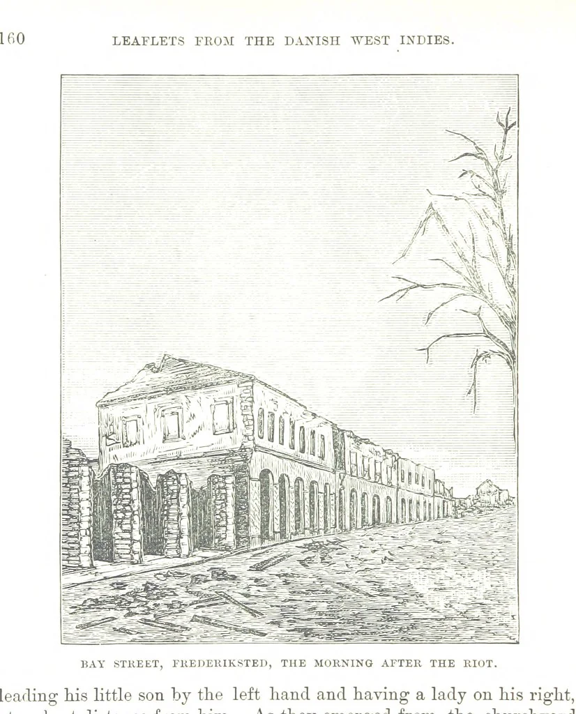 An illustration from Leaflets from the Danish West Indies: descriptive of the social, political and commercial condition of these Islands ... With a portrait of the author and a biographical sketch, ... by P. Linet, 1888, leaf 184