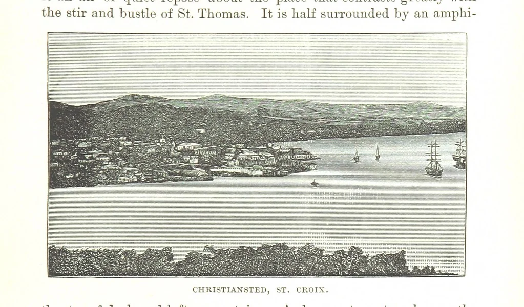 An illustration from Leaflets from the Danish West Indies: descriptive of the social, political and commercial condition of these Islands ... With a portrait of the author and a biographical sketch, ... by P. Linet, 1888, leaf 193