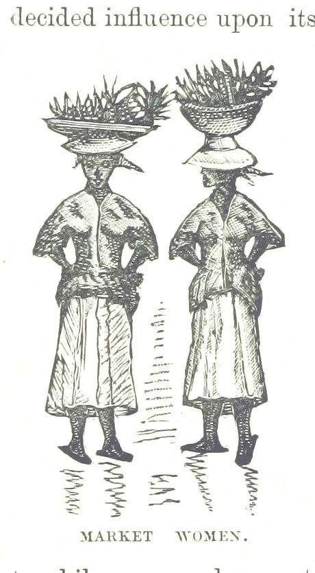 An illustration from Leaflets from the Danish West Indies: descriptive of the social, political and commercial condition of these Islands ... With a portrait of the author and a biographical sketch, ... by P. Linet, 1888, leaf 196