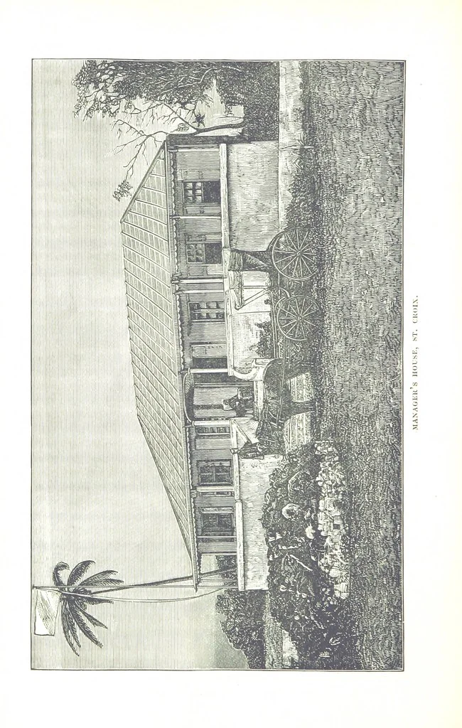 An illustration from Leaflets from the Danish West Indies: descriptive of the social, political and commercial condition of these Islands ... With a portrait of the author and a biographical sketch, ... by P. Linet, 1888, leaf 208