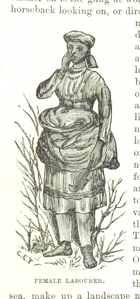 An illustration from Leaflets from the Danish West Indies: descriptive of the social, political and commercial condition of these Islands ... With a portrait of the author and a biographical sketch, ... by P. Linet, 1888, leaf 209