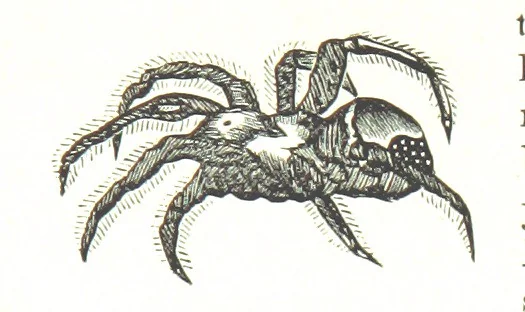 An illustration from Leaflets from the Danish West Indies: descriptive of the social, political and commercial condition of these Islands ... With a portrait of the author and a biographical sketch, ... by P. Linet, 1888, leaf 215