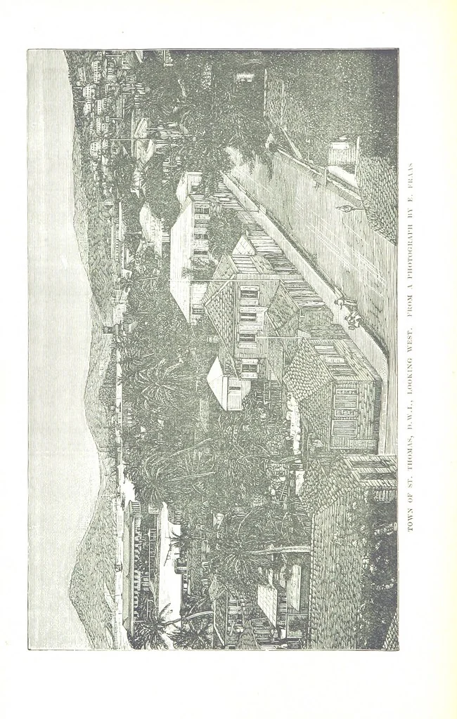 An illustration from Leaflets from the Danish West Indies: descriptive of the social, political and commercial condition of these Islands ... With a portrait of the author and a biographical sketch, ... by P. Linet, 1888, leaf 24