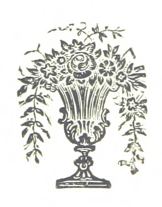 An illustration from Leaflets from the Danish West Indies: descriptive of the social, political and commercial condition of these Islands ... With a portrait of the author and a biographical sketch, ... by P. Linet, 1888, leaf 254