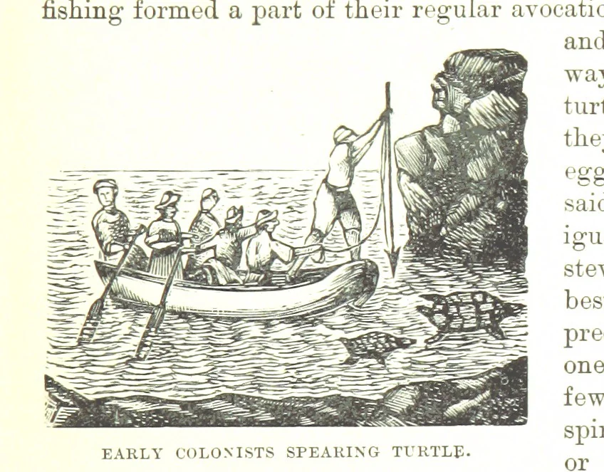 An illustration from Leaflets from the Danish West Indies: descriptive of the social, political and commercial condition of these Islands ... With a portrait of the author and a biographical sketch, ... by P. Linet, 1888, leaf 27
