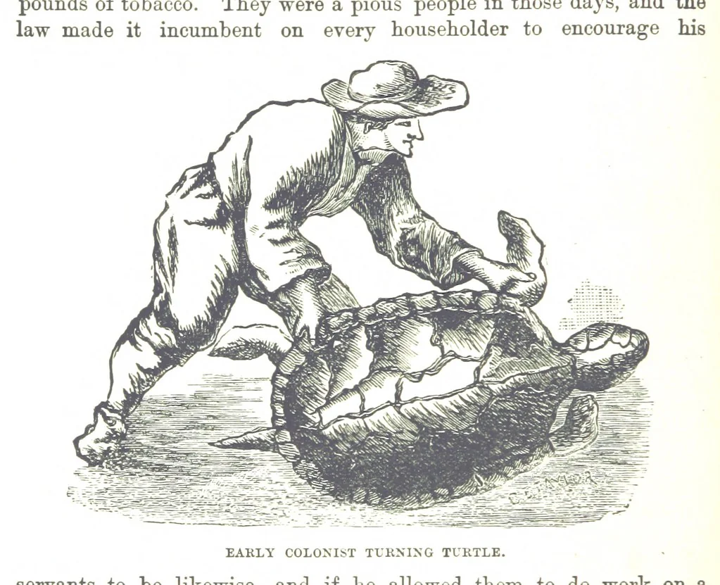 An illustration from Leaflets from the Danish West Indies: descriptive of the social, political and commercial condition of these Islands ... With a portrait of the author and a biographical sketch, ... by P. Linet, 1888, leaf 28