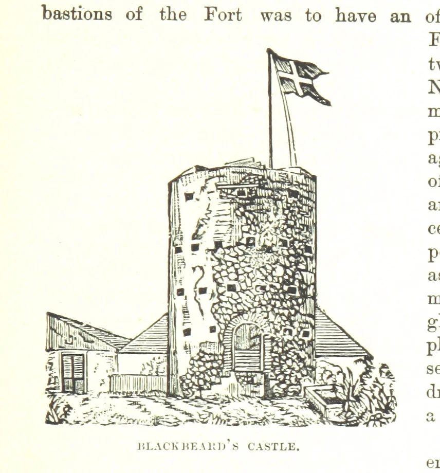 An illustration from Leaflets from the Danish West Indies: descriptive of the social, political and commercial condition of these Islands ... With a portrait of the author and a biographical sketch, ... by P. Linet, 1888, leaf 33