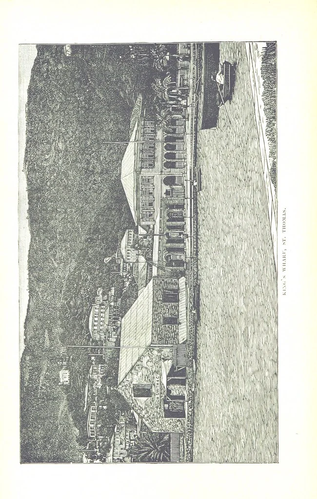 An illustration from Leaflets from the Danish West Indies: descriptive of the social, political and commercial condition of these Islands ... With a portrait of the author and a biographical sketch, ... by P. Linet, 1888, leaf 38