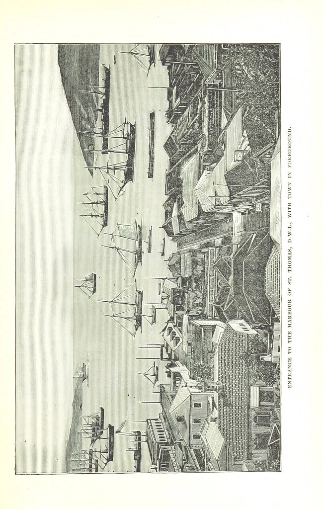 An illustration from Leaflets from the Danish West Indies: descriptive of the social, political and commercial condition of these Islands ... With a portrait of the author and a biographical sketch, ... by P. Linet, 1888, leaf 51