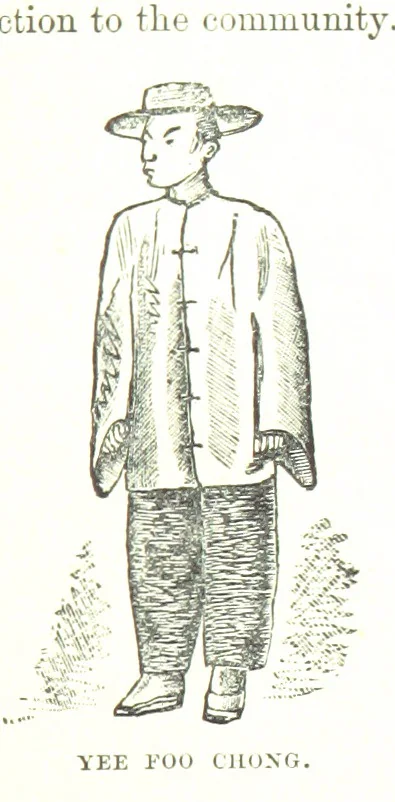 An illustration from Leaflets from the Danish West Indies: descriptive of the social, political and commercial condition of these Islands ... With a portrait of the author and a biographical sketch, ... by P. Linet, 1888, leaf 59