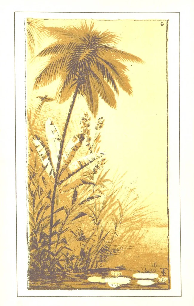 An illustration from Leaflets from the Danish West Indies: descriptive of the social, political and commercial condition of these Islands ... With a portrait of the author and a biographical sketch, ... by P. Linet, 1888, leaf 6