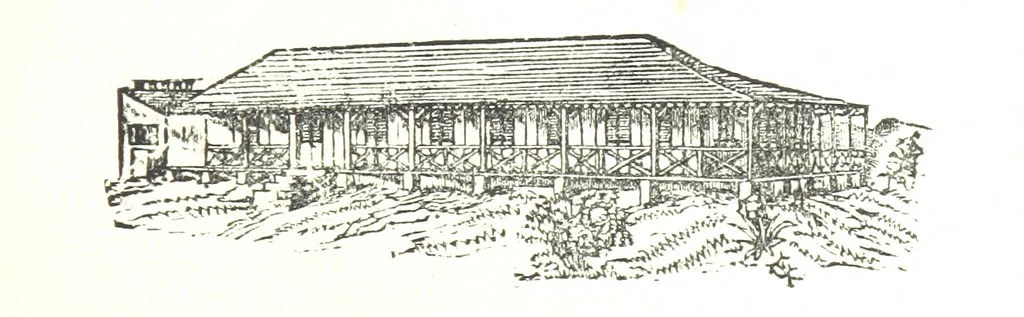 An illustration from Leaflets from the Danish West Indies: descriptive of the social, political and commercial condition of these Islands ... With a portrait of the author and a biographical sketch, ... by P. Linet, 1888, leaf 63