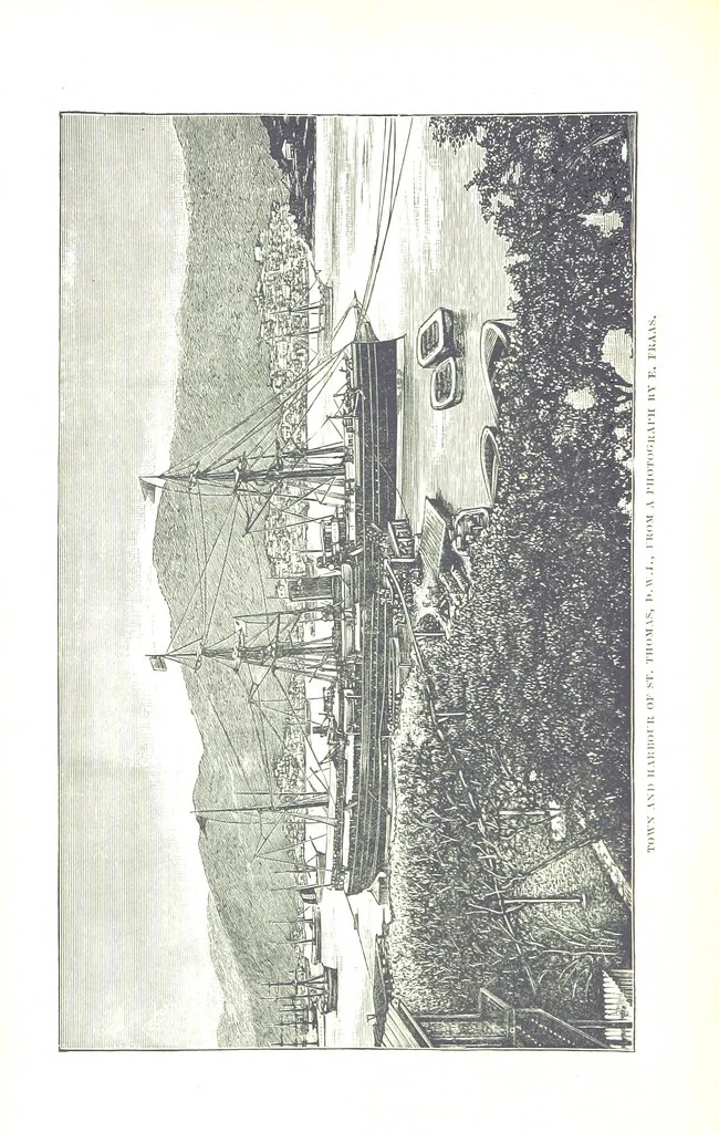 An illustration from Leaflets from the Danish West Indies: descriptive of the social, political and commercial condition of these Islands ... With a portrait of the author and a biographical sketch, ... by P. Linet, 1888, leaf 70