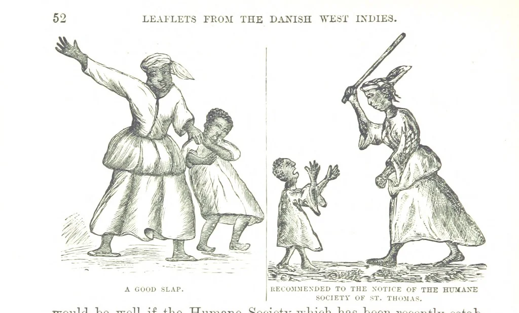 An illustration from Leaflets from the Danish West Indies: descriptive of the social, political and commercial condition of these Islands ... With a portrait of the author and a biographical sketch, ... by P. Linet, 1888, leaf 76