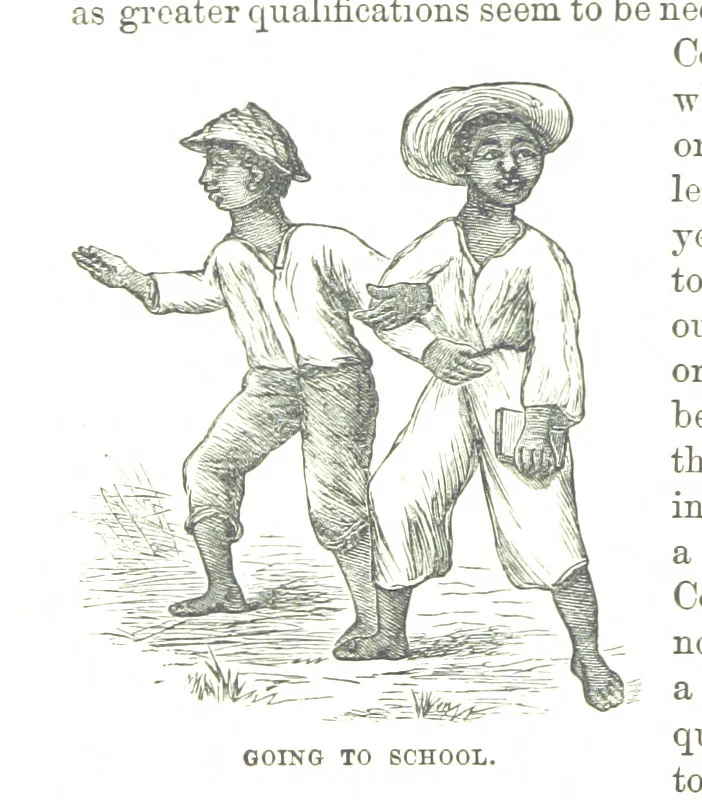 An illustration from Leaflets from the Danish West Indies: descriptive of the social, political and commercial condition of these Islands ... With a portrait of the author and a biographical sketch, ... by P. Linet, 1888, leaf 84