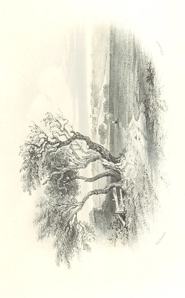 An illustration from The Pictorial History of Scotland ... A.D. 79-1746. By J. Taylor, assisted by Professor Lindsay, Professor Eadie, J. Anderson, G. Macdonald, and other contributors, 1884, leaf 377