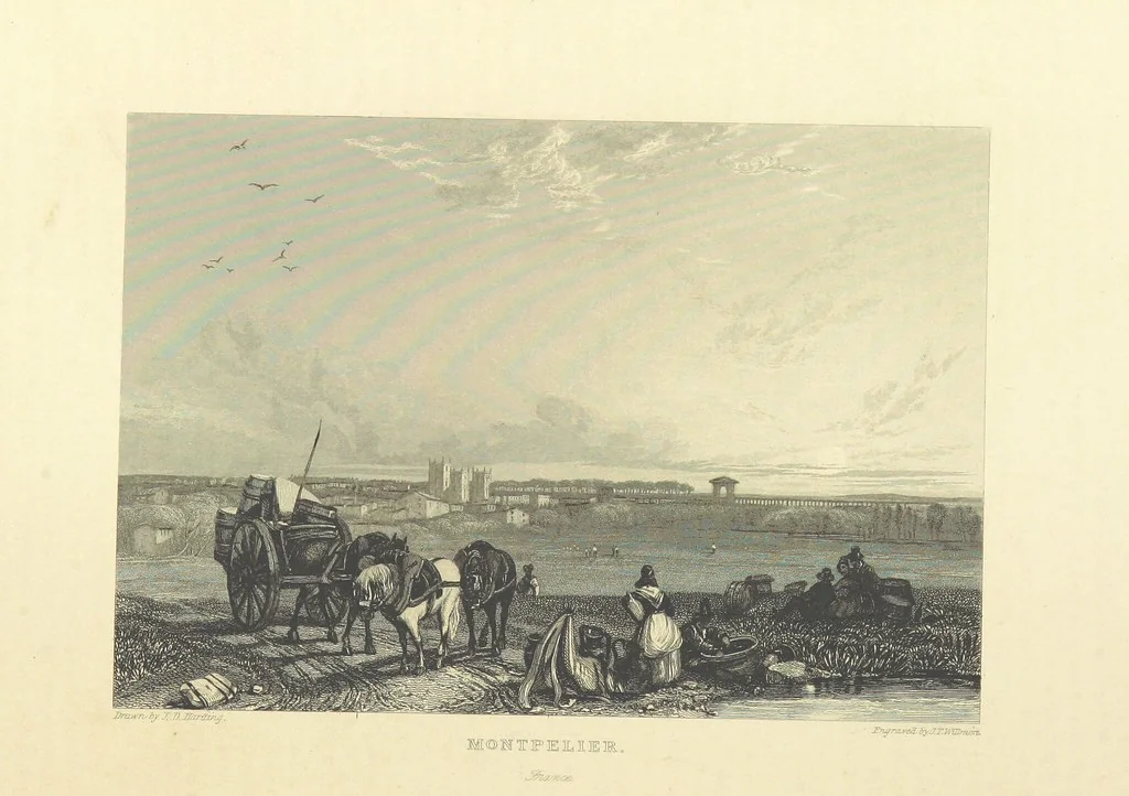 An illustration from The World as it is. A new and comprehensive system of Modern Geography, physical, political and commercial. [Vol. 1 and 2 by W. C. Taylor and C. Mackay; vol. 3 by W. C. Stafford, 1849, leaf 448