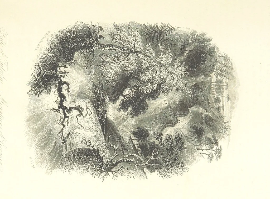 An illustration from The World as it is. A new and comprehensive system of Modern Geography, physical, political and commercial. [Vol. 1 and 2 by W. C. Taylor and C. Mackay; vol. 3 by W. C. Stafford, 1849, leaf 333