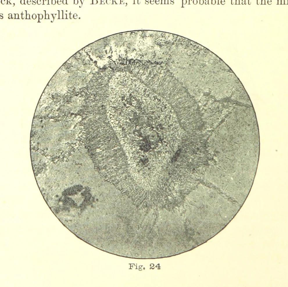 An illustration from British Petrography: with special reference to the igneous rocks. With ... plates. (Glossary of terms used in describing Rocks By F. H. Hatch.), 1888, leaf 190