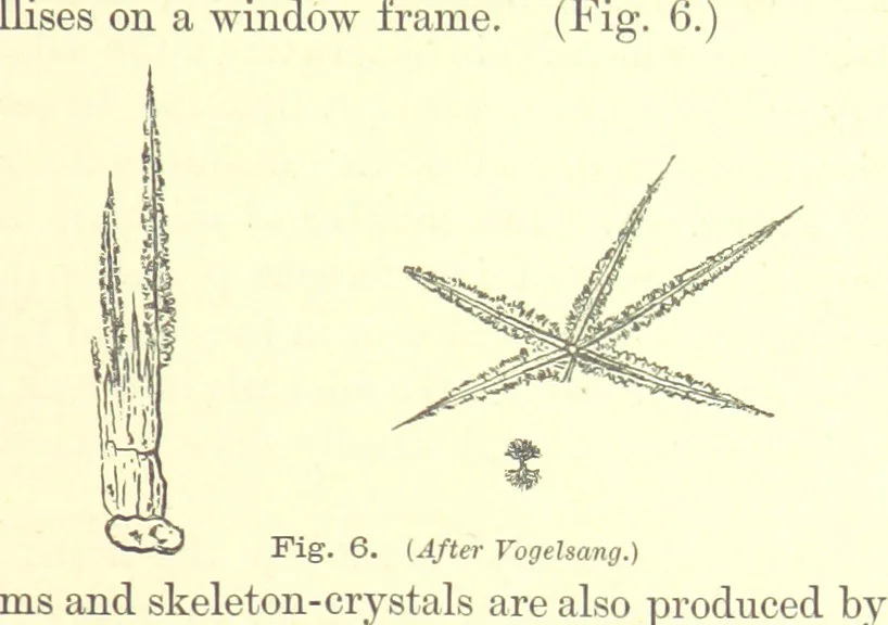 An illustration from British Petrography: with special reference to the igneous rocks. With ... plates. (Glossary of terms used in describing Rocks By F. H. Hatch.), 1888, leaf 29