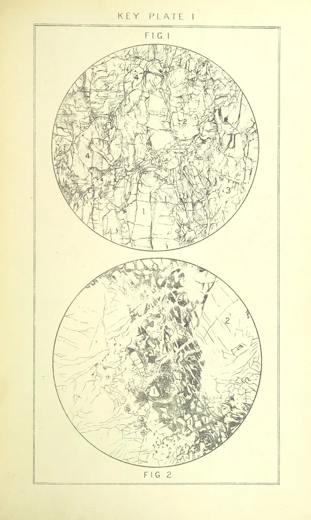 An illustration from British Petrography: with special reference to the igneous rocks. With ... plates. (Glossary of terms used in describing Rocks By F. H. Hatch.), 1888, leaf 467