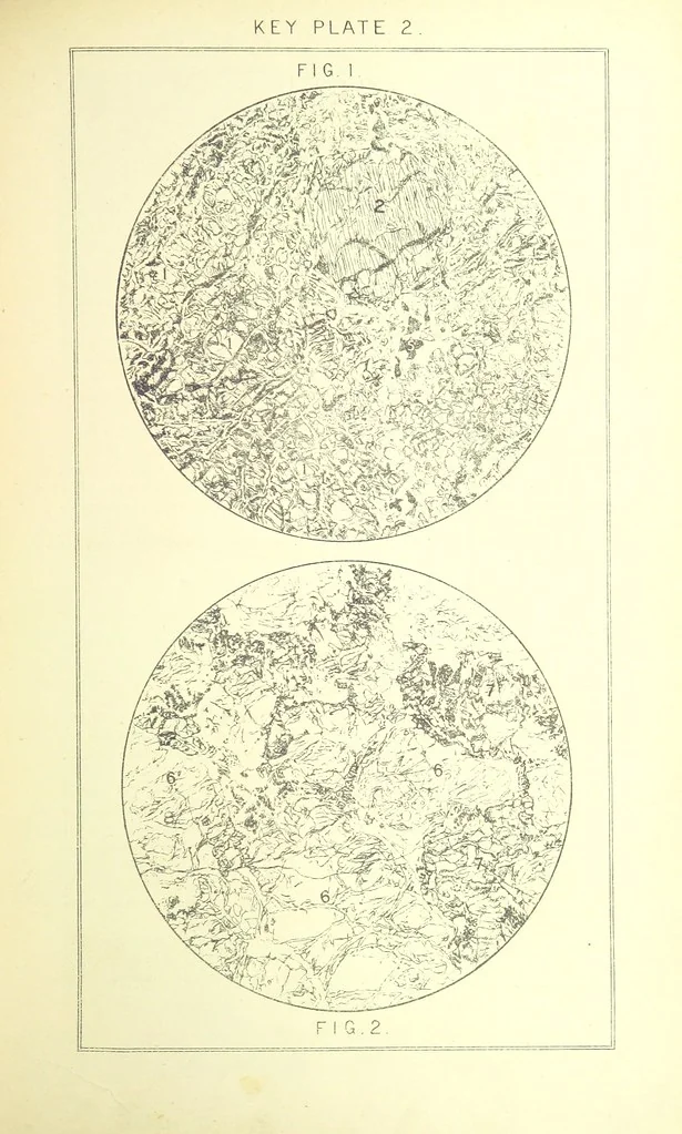 An illustration from British Petrography: with special reference to the igneous rocks. With ... plates. (Glossary of terms used in describing Rocks By F. H. Hatch.), 1888, leaf 471
