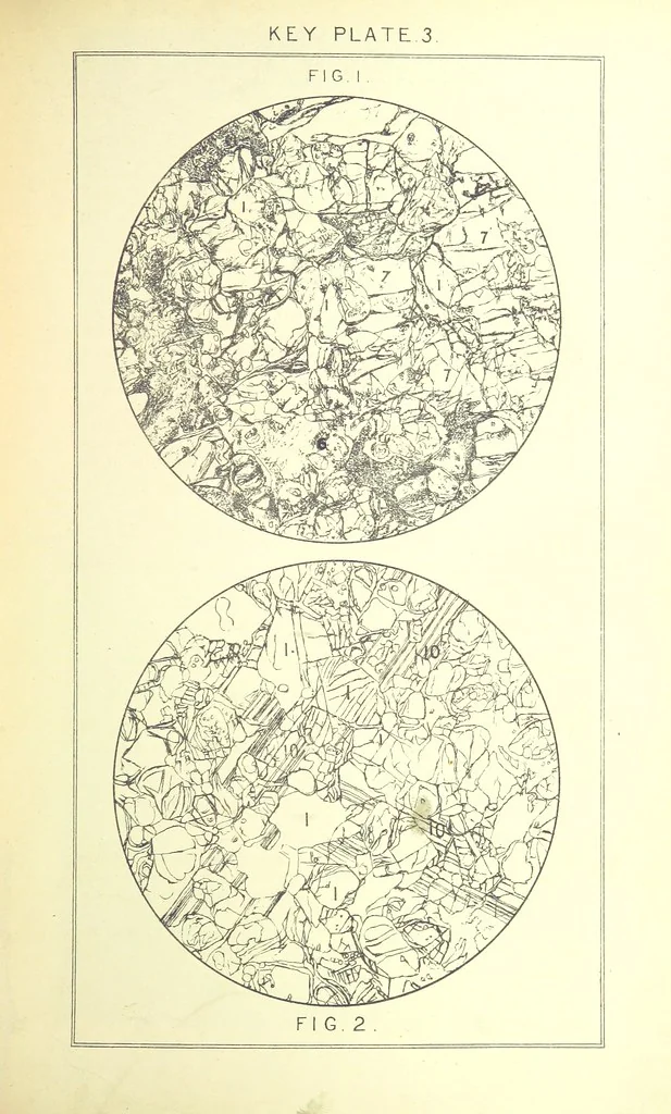 An illustration from British Petrography: with special reference to the igneous rocks. With ... plates. (Glossary of terms used in describing Rocks By F. H. Hatch.), 1888, leaf 475