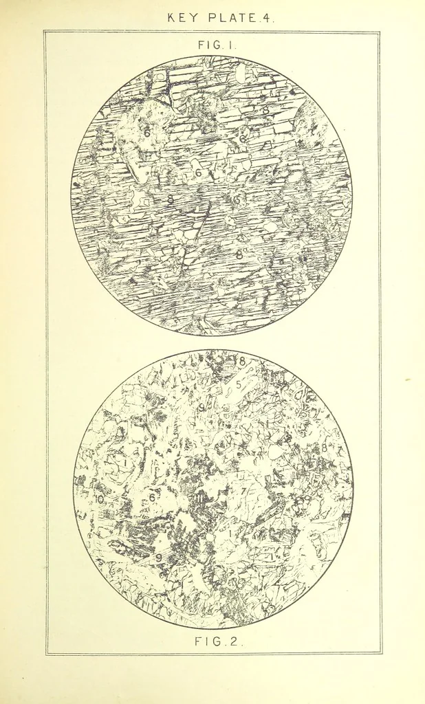 An illustration from British Petrography: with special reference to the igneous rocks. With ... plates. (Glossary of terms used in describing Rocks By F. H. Hatch.), 1888, leaf 479