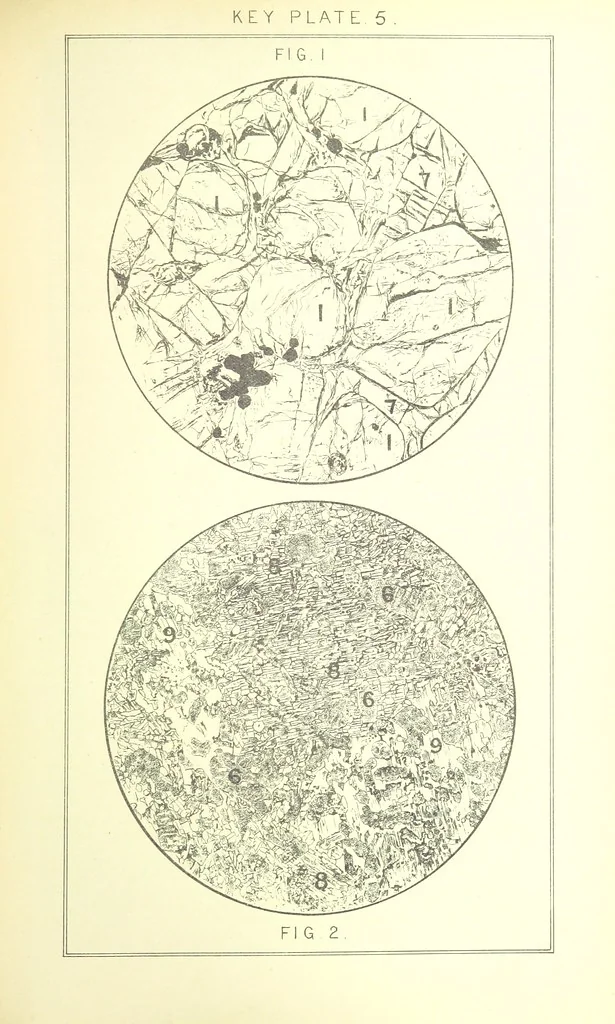 An illustration from British Petrography: with special reference to the igneous rocks. With ... plates. (Glossary of terms used in describing Rocks By F. H. Hatch.), 1888, leaf 483