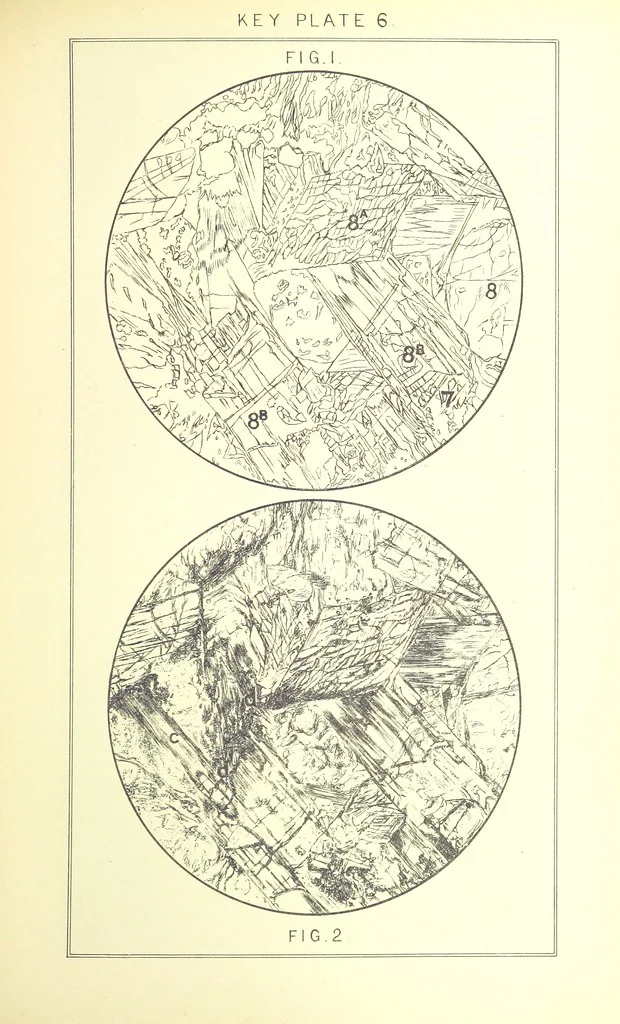 An illustration from British Petrography: with special reference to the igneous rocks. With ... plates. (Glossary of terms used in describing Rocks By F. H. Hatch.), 1888, leaf 487