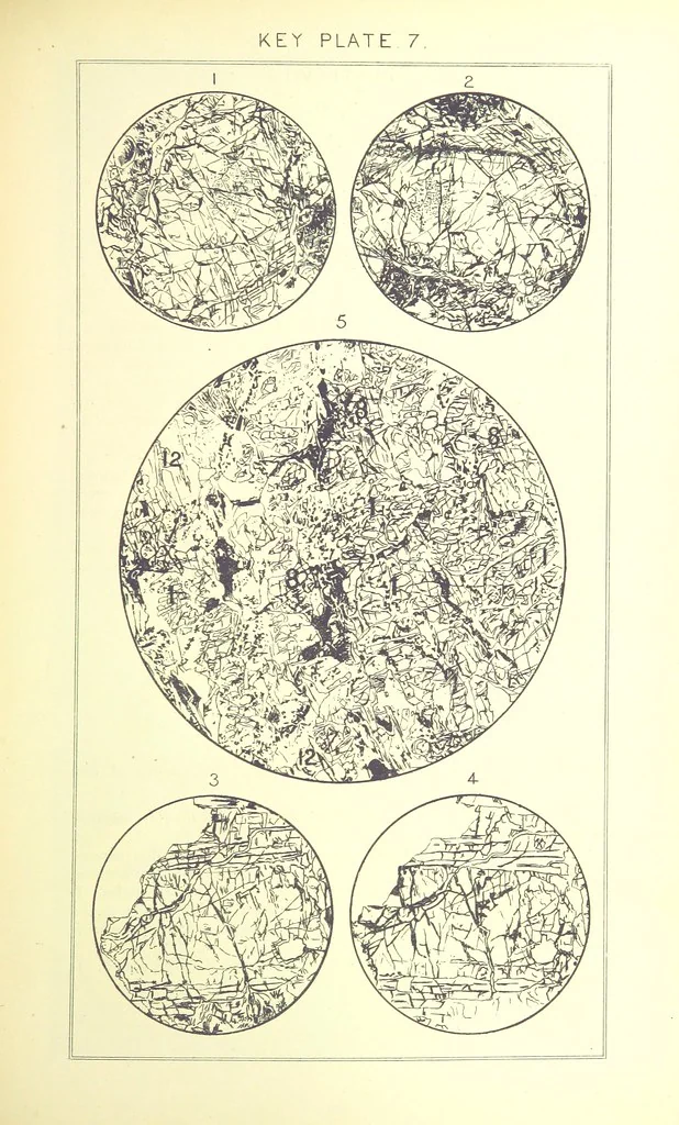 An illustration from British Petrography: with special reference to the igneous rocks. With ... plates. (Glossary of terms used in describing Rocks By F. H. Hatch.), 1888, leaf 491