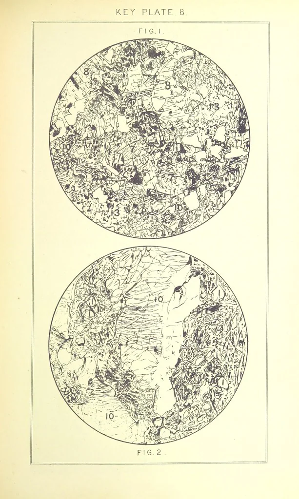 An illustration from British Petrography: with special reference to the igneous rocks. With ... plates. (Glossary of terms used in describing Rocks By F. H. Hatch.), 1888, leaf 495