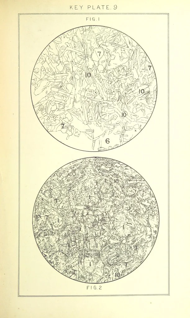 An illustration from British Petrography: with special reference to the igneous rocks. With ... plates. (Glossary of terms used in describing Rocks By F. H. Hatch.), 1888, leaf 499