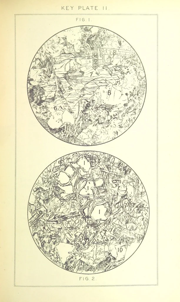 An illustration from British Petrography: with special reference to the igneous rocks. With ... plates. (Glossary of terms used in describing Rocks By F. H. Hatch.), 1888, leaf 507