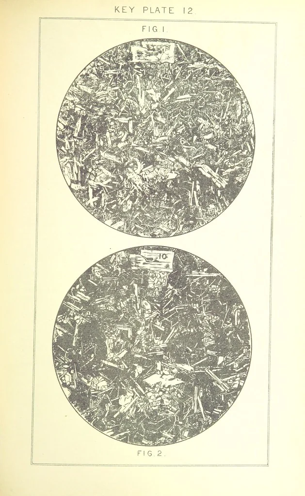 An illustration from British Petrography: with special reference to the igneous rocks. With ... plates. (Glossary of terms used in describing Rocks By F. H. Hatch.), 1888, leaf 511