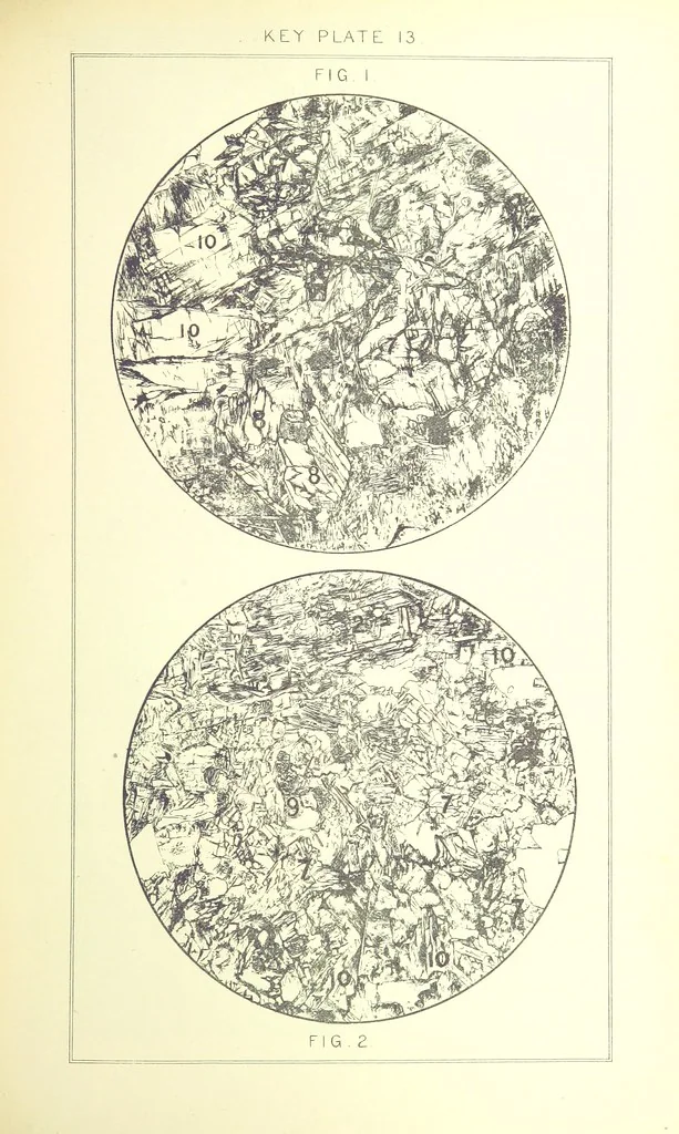 An illustration from British Petrography: with special reference to the igneous rocks. With ... plates. (Glossary of terms used in describing Rocks By F. H. Hatch.), 1888, leaf 515