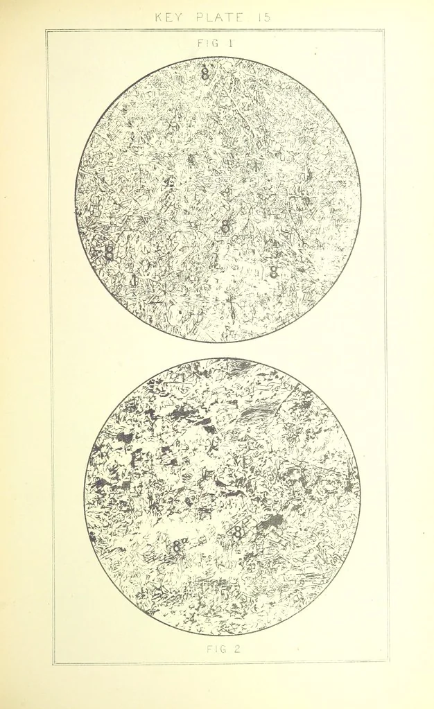 An illustration from British Petrography: with special reference to the igneous rocks. With ... plates. (Glossary of terms used in describing Rocks By F. H. Hatch.), 1888, leaf 523