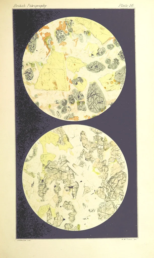 An illustration from British Petrography: with special reference to the igneous rocks. With ... plates. (Glossary of terms used in describing Rocks By F. H. Hatch.), 1888, leaf 529