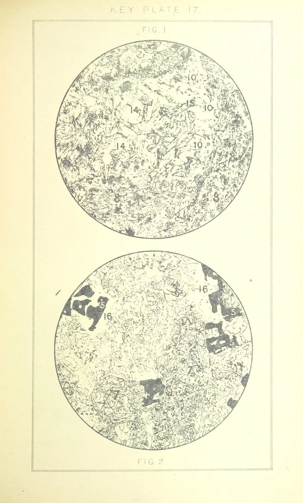 An illustration from British Petrography: with special reference to the igneous rocks. With ... plates. (Glossary of terms used in describing Rocks By F. H. Hatch.), 1888, leaf 531