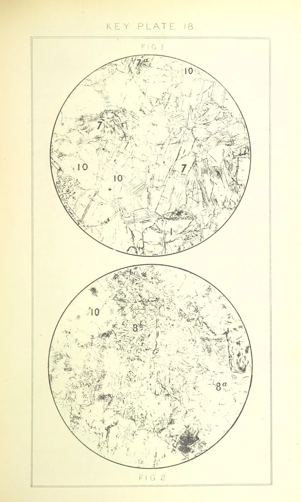 An illustration from British Petrography: with special reference to the igneous rocks. With ... plates. (Glossary of terms used in describing Rocks By F. H. Hatch.), 1888, leaf 535