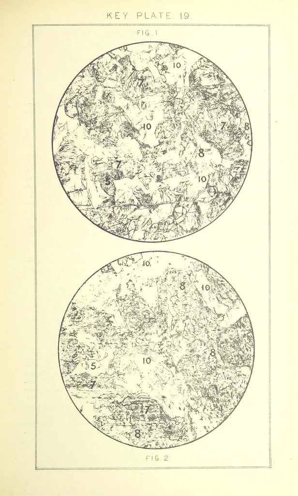 An illustration from British Petrography: with special reference to the igneous rocks. With ... plates. (Glossary of terms used in describing Rocks By F. H. Hatch.), 1888, leaf 539