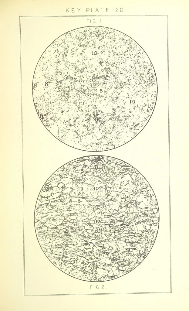 An illustration from British Petrography: with special reference to the igneous rocks. With ... plates. (Glossary of terms used in describing Rocks By F. H. Hatch.), 1888, leaf 543