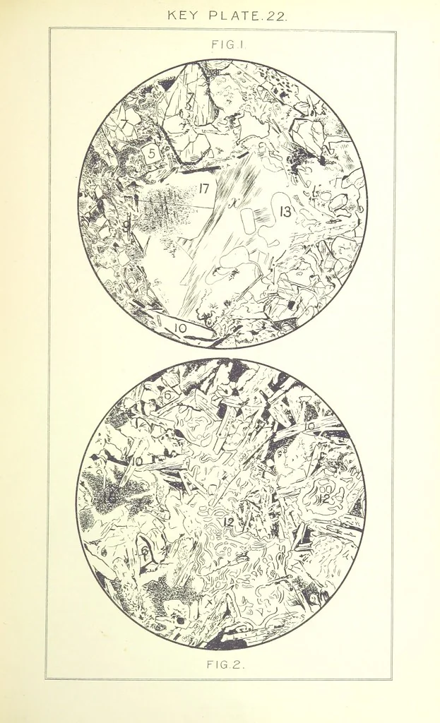 An illustration from British Petrography: with special reference to the igneous rocks. With ... plates. (Glossary of terms used in describing Rocks By F. H. Hatch.), 1888, leaf 551