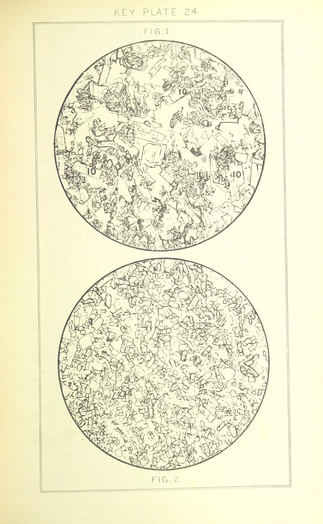 An illustration from British Petrography: with special reference to the igneous rocks. With ... plates. (Glossary of terms used in describing Rocks By F. H. Hatch.), 1888, leaf 559